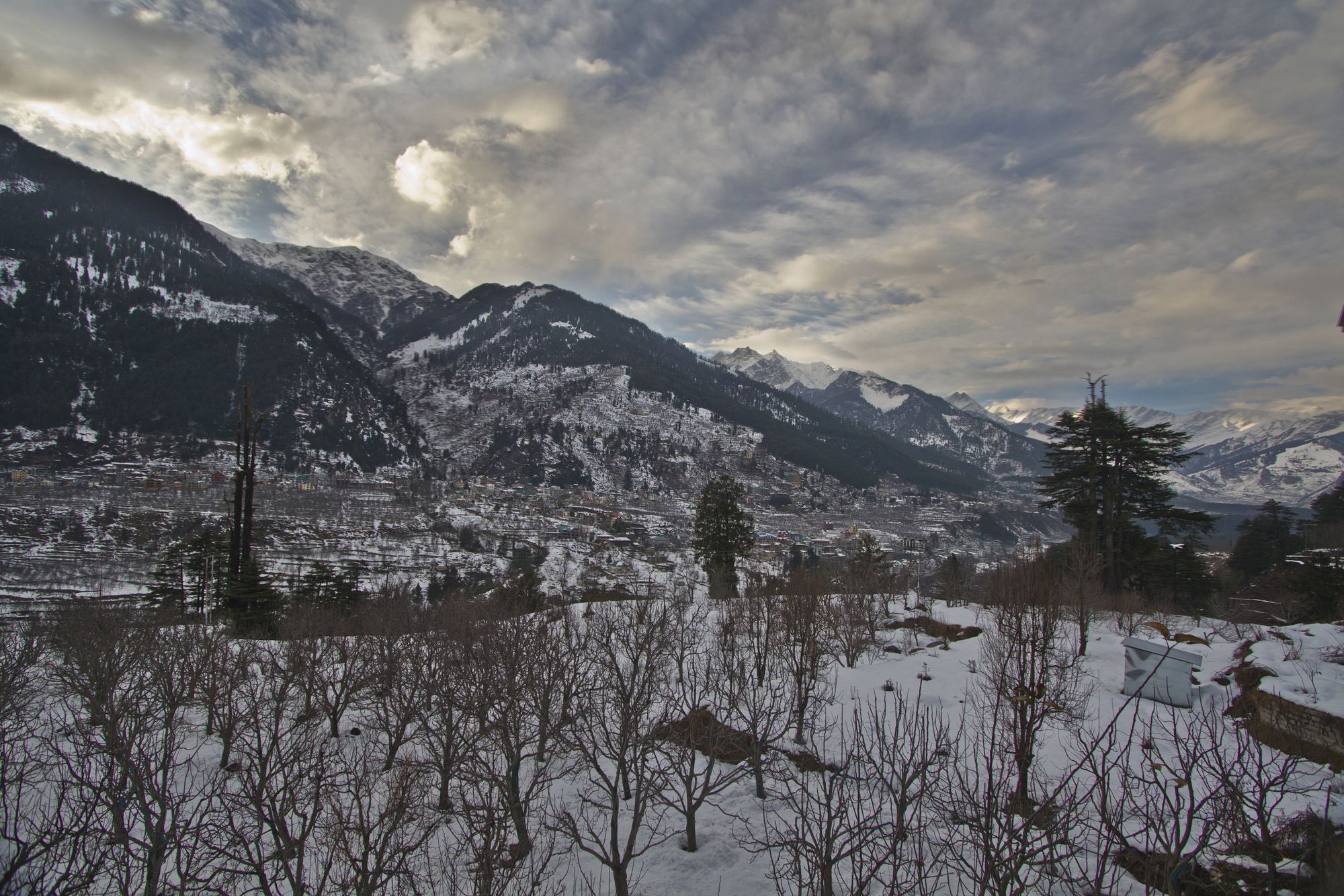 Hotel Mountain Face Manali  Exterior photo